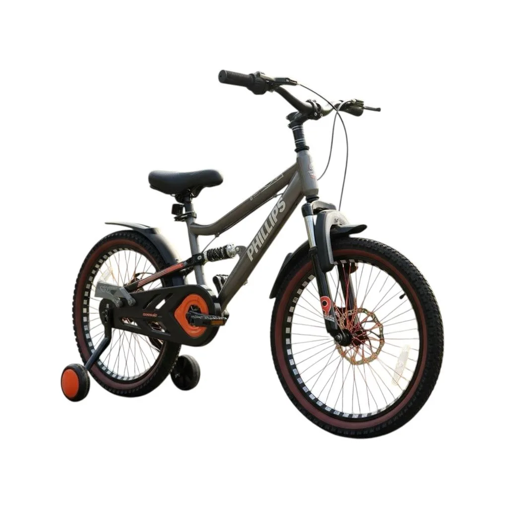 Philips P-133 20 inch